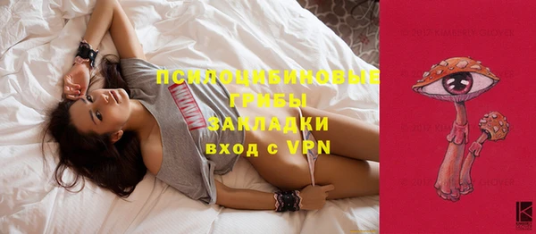 спайс Дмитров