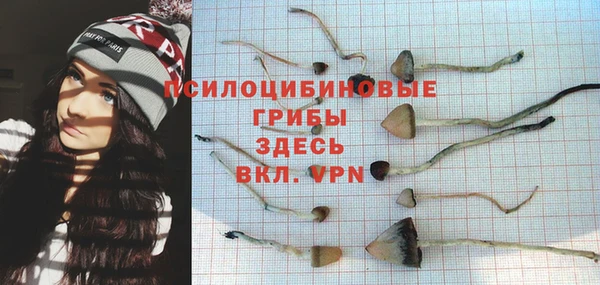 спайс Дмитров