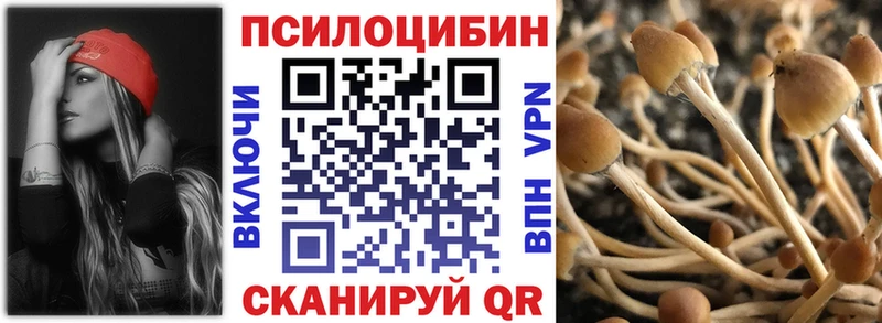 Галлюциногенные грибы ЛСД  Купить закладки  Шарыпово 
